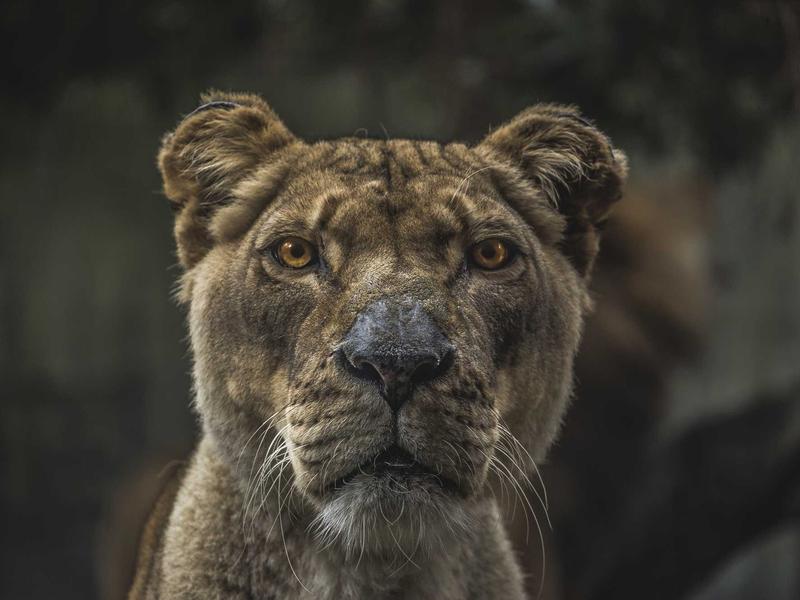 Sesión de fotografía